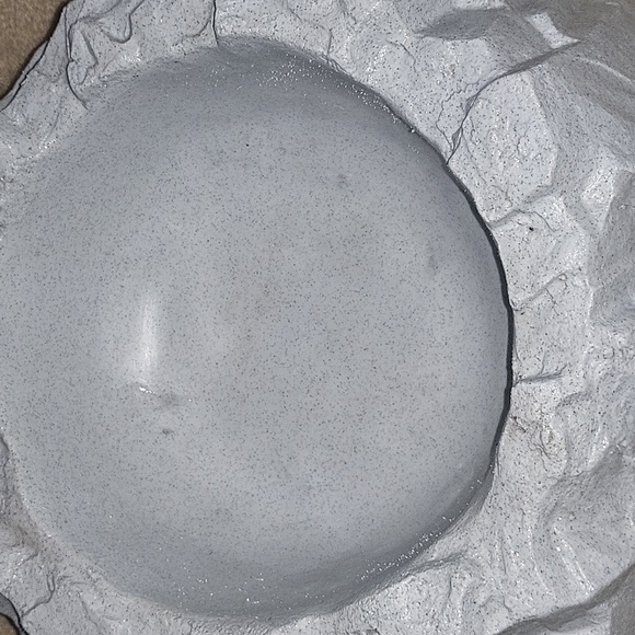 Reptile decor - Picture 2 of 3